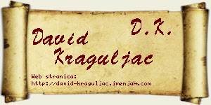 David Kraguljac vizit kartica